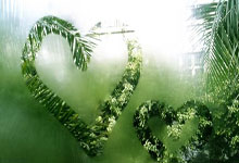 开云体育官网-紫百合客场凋零之谜：当亚平宁风暴席卷文艺复兴之心