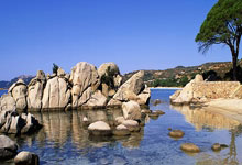 开云体育登录-布宜诺斯艾利斯独立球员伤愈归队，阵容进一步完整