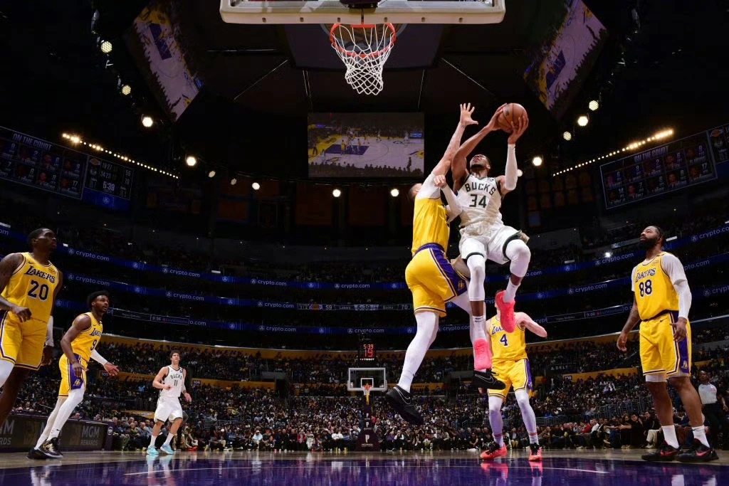 开云体育入口-湖人B队绝杀法国男篮，布拉德利送出助攻的简单介绍