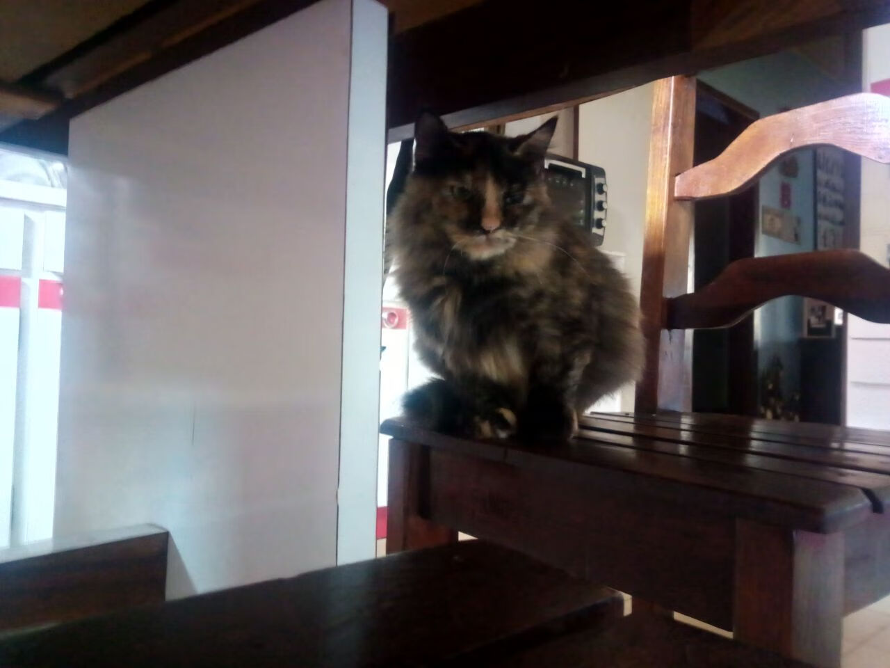 开云体育平台APP-绿茵节奏的双面艺术，卡马文加的掌控力与曼城的委内瑞拉密码