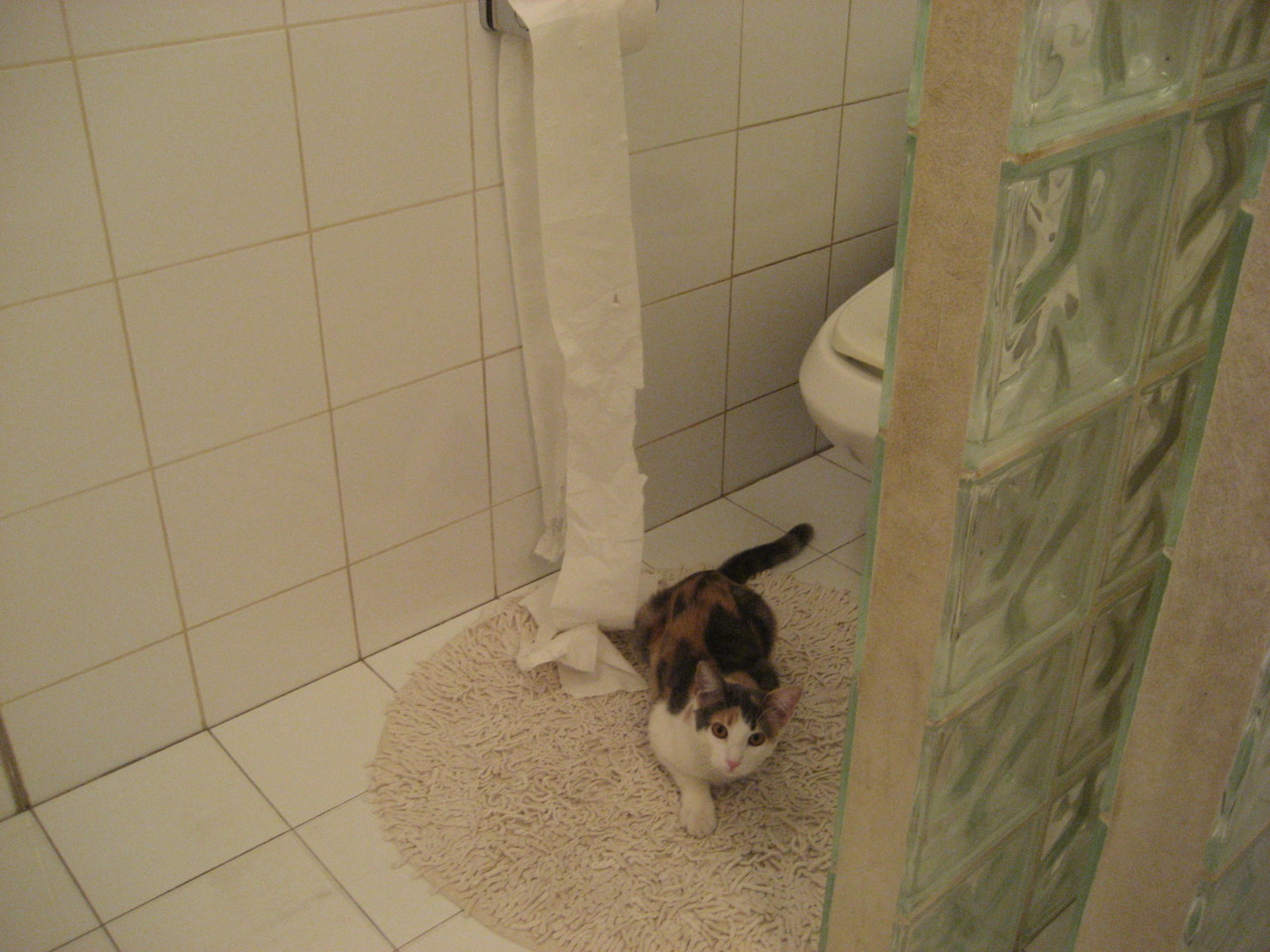 东部焦点战，尼克斯轻取奇才，季后赛首役告捷