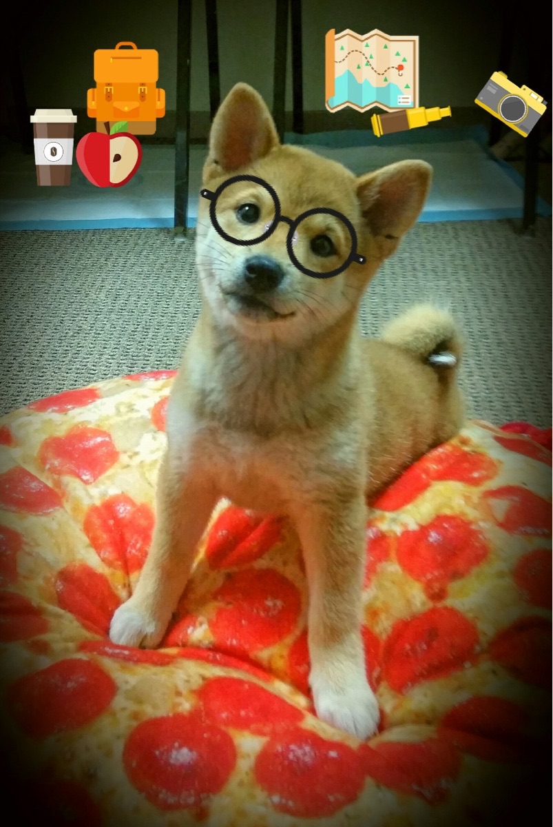 开云体育中国-德比硝烟与南美利刃，当战术突破成为共同语言