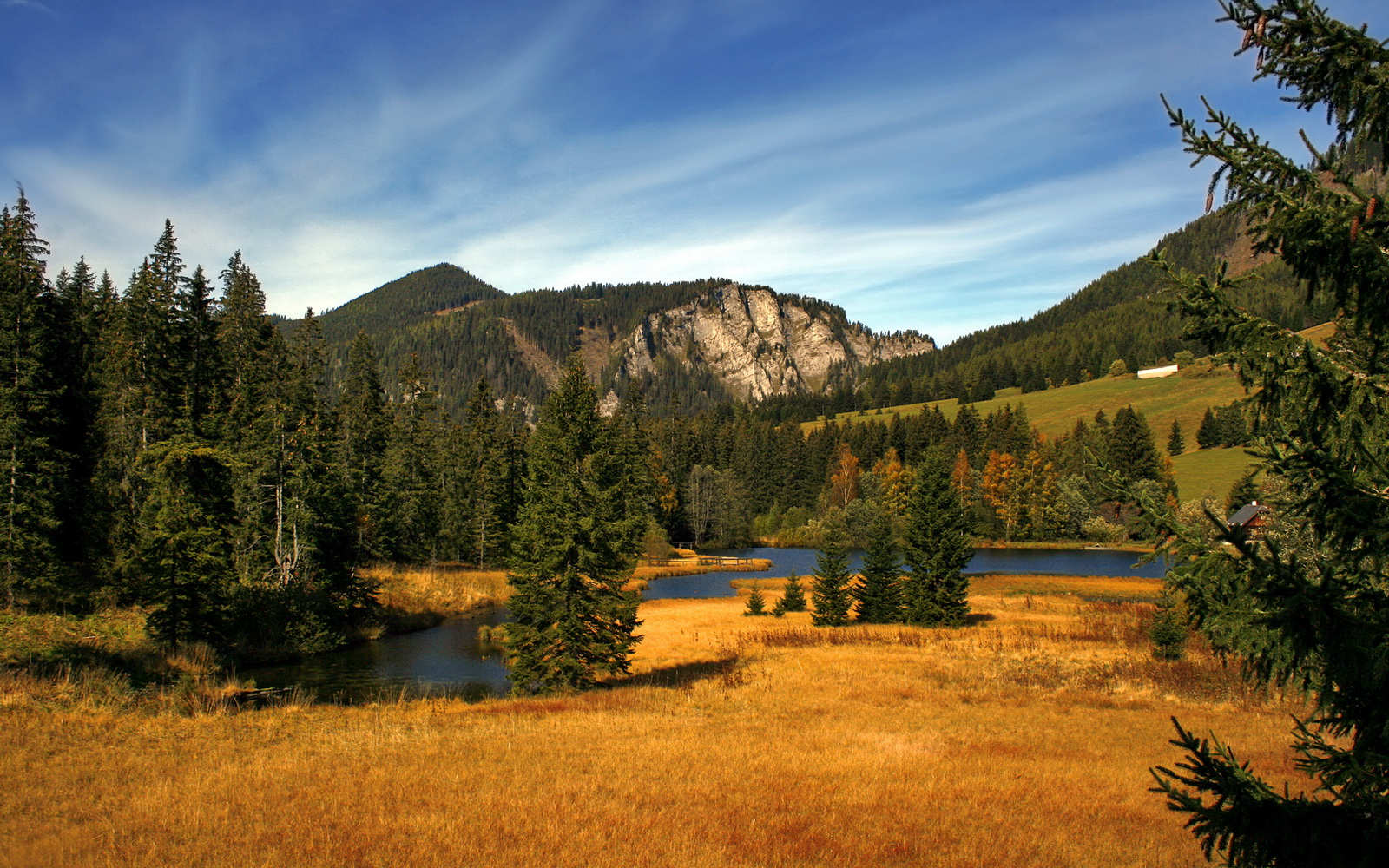 开云体育在线-沉默王牌，福登如何用一脚改变贝蒂斯的百年等待