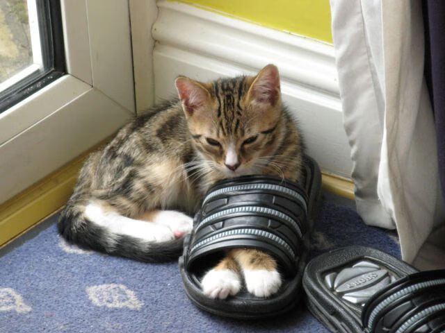 开云下载-乔治如战神下凡!湖人第三节一波流彻底摧毁骑士,超级数据引发联盟震动