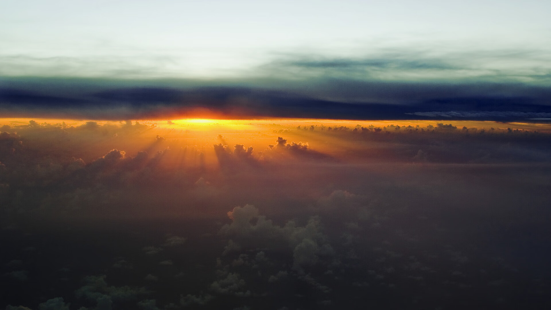 开云体育在线-紫百合绽放美利坚，巴斯托尼火热状态引领佛罗伦萨技战术胜利