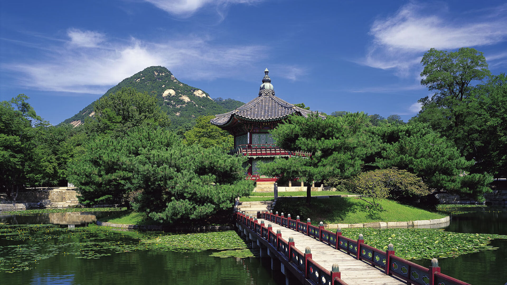 开云体育APP下载-英超争冠之夜，梅西展现巨星价值，足球世界的璀璨星光