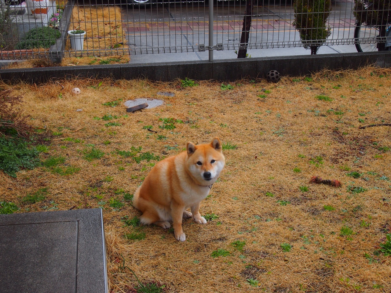 开云下载-英格兰铁闸封锁丹麦，阿什拉夫·哈基米关键先生定乾坤