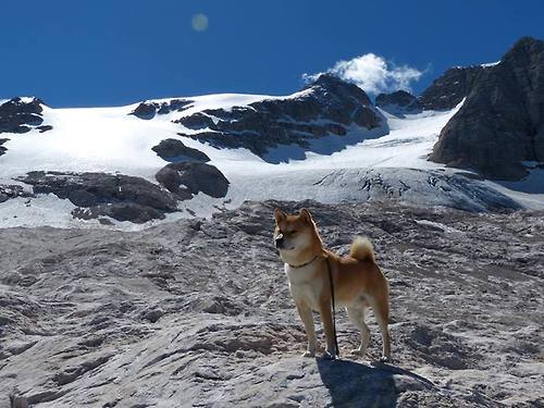 当沙漠战鼓响彻伯纳乌，国家德比与非洲铁血的时代回响