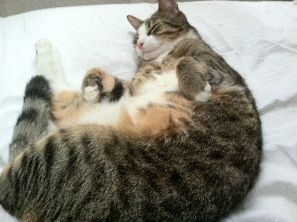 开云体育官网-赛场统治密码，从澳大利亚的团队交响到德布劳内的个人狂想