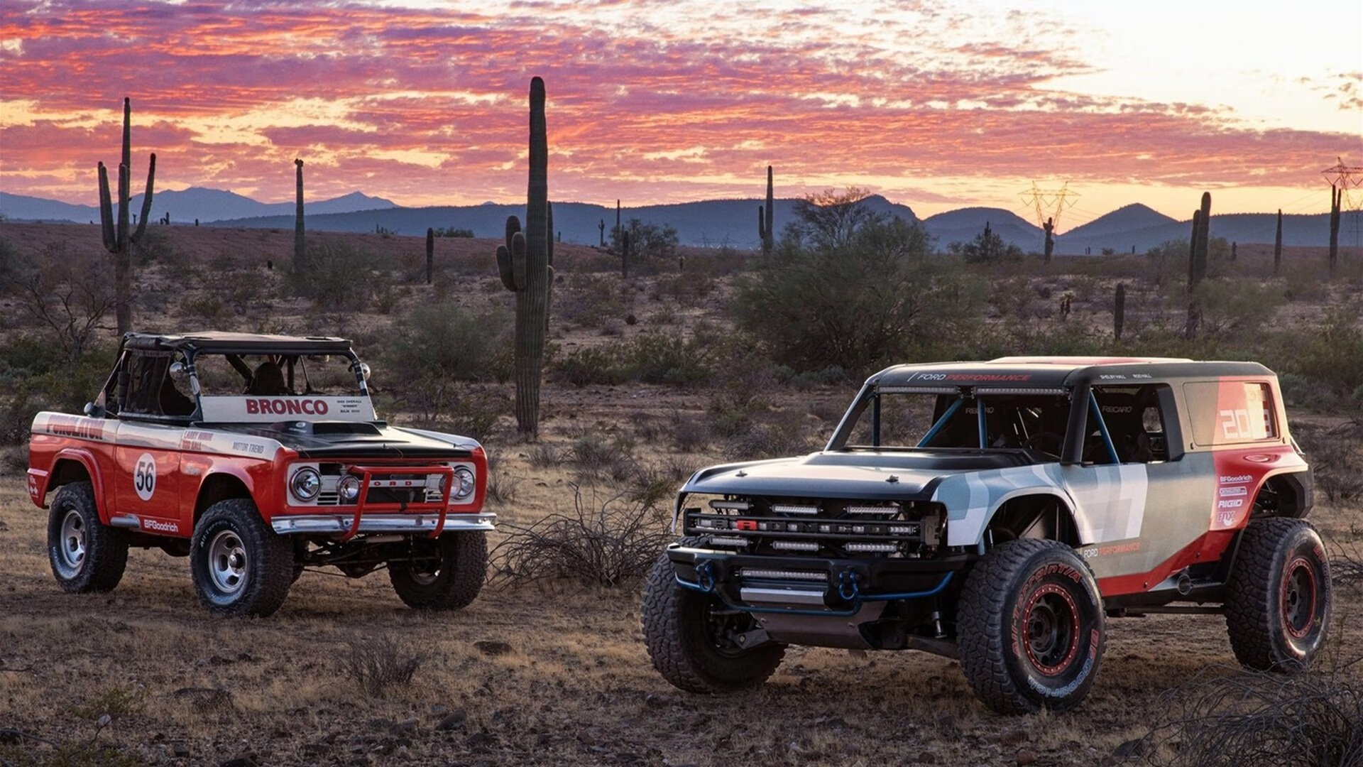 开云体育官网-闪耀！意大利新王与加勒比飓风