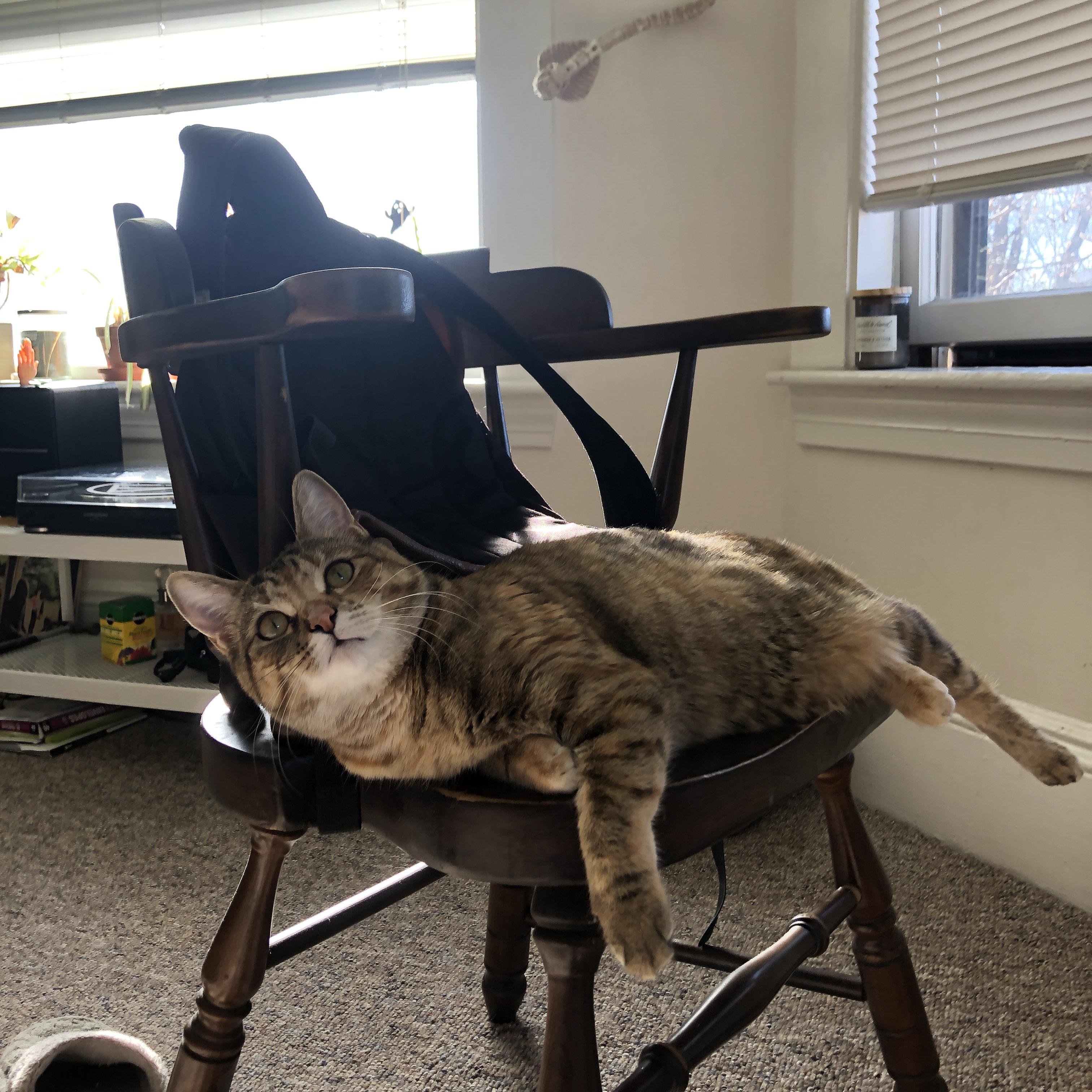 沉默节拍器,德罗赞用古典技艺为魔术青年军上的一堂节奏课